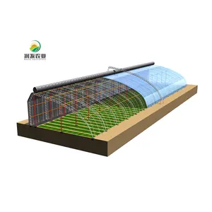 सुपर गुणवत्ता स्मार्ट ग्रीनहाउस कृषि ग्लास ठंडे क्षेत्रों आधुनिक कृषि उपकरणों के लिए उपयुक्त ग्रीनहाउस हाइड्रोपोनिक