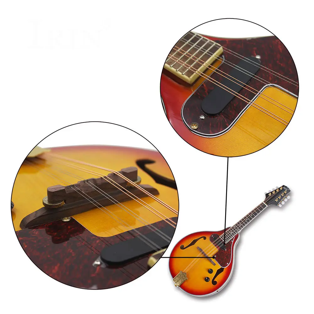 IRIN 8-String Electric Mandolin Set for Beginners - Acoustic