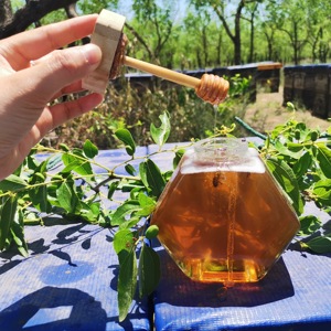 <span class=keywords><strong>Miel</strong></span> <span class=keywords><strong>Natural</strong></span> de Flores Silvestres, <span class=keywords><strong>Miel</strong></span> de Poliflora Cruda Pura para Cocinar y Salud, Suministro a Granel - Product Image 1