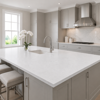 Dalle de quartz argenté givré |   Comptoir de table moderne haut de gamme pour hôtel commercial |   Mohs 6 Anti-rayures CE SGS
