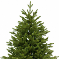 Sapin de Noël Artificiel Réaliste 1,8m 2,1m 2,4m Profil Complet PE PVC Sapin Vert Mixte avec Support Métallique Pliable