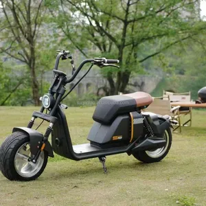 Eur Us warehouse 3000W 4000W 60V citycoco 80km/h high speed electric motorcycle scooter citycoco 2 wheels fat tire