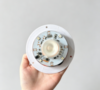 Ampoule LED Circulaire à Source Lumineuse RGB à Changement de Couleur, Batterie au Lithium Intégrée, Télécommande, Intensité Réglable, Matériau PE