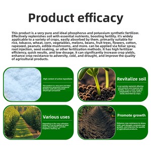 <span class=keywords><strong>Engrais</strong></span> en poudre hydrosoluble de haute qualité à base de potassium et de phosphore, 50 g, pour les plantes potagères, les tomates, l'agriculture, l'hydroponie foliaire - Product Image 4