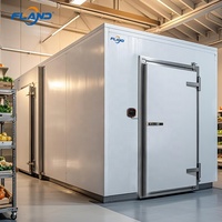 Chambre froide solaire intégrée avec unité de réfrigération Emerson/Copeland pour congélateur de poulet et fruits de mer