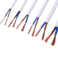 Cable Eléctrico de 2 Núcleos 2x0.75/1/1.5/2.5/4/6mm2 RVVB H03Vvh2-F Plano de PVC Flexible con Aislamiento de Cobre y Conductor Sólido