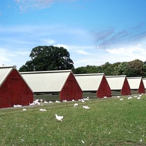 Gallinero <span class=keywords><strong>de</strong></span> gallinas ponedoras con estructura <span class=keywords><strong>de</strong></span> acero <span class=keywords><strong>de</strong></span> nuevo estilo, gallinero para <span class=keywords><strong>mascotas</strong></span> para pollos 30.000 - Product Image 2