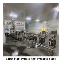 Productielijn voor hoogvochtig vleesalternatief (HMMA) met extruder, klaar voor verwerking, machine voor hoogvochtig getextureerd eiwit