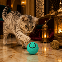 Jouet pour oiseaux de type mini-golf, direct usine, en matériau ABS, avec son d'appel d'oiseau, roulement automatique, 3 modes de rebond circulaire, rechargeable