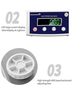 Balance électronique numérique de laboratoire haute précision et sensible, 0,1 g, 0,01 g, 0,00 g, 100 g - 3000 g