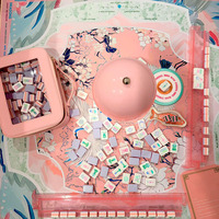 Tapis de Mahjong Américain Antidérapant avec Motif Grue Volante et Fleur de Cerisier, en Stock, Vente Directe Usine