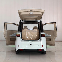 Voiture électrique EEC 4 roues, mini véhicule électrique pour passagers, cabine, 2 places, approuvé pour l'Europe avec certificat COC L6e, prix bas