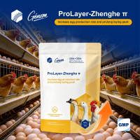 Aliment complémentaire Zhenghe&Genom pour augmenter la ponte des poules pondeuses, enrichi en vitamines de qualité alimentaire