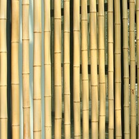 Tiang Penyangga Tomat dari Bambu Alami, Tiang Bambu Kustom