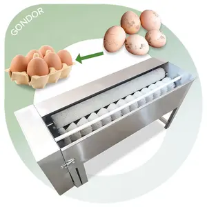 3000 continue l'utilisation domestique Mini Cum Oiler Commercial Clean Washer Egg Wash Machine Cleaner avec Spray d'huile