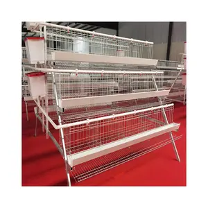 Cage de poulet design, couche de volaille, cage de poulet, système automatique