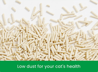 Accessoires pour chats en vente en usine saveurs personnalisées litière pour chat agglomérante propre Kitty sable jetable OEM litière pour chat en bande tofu