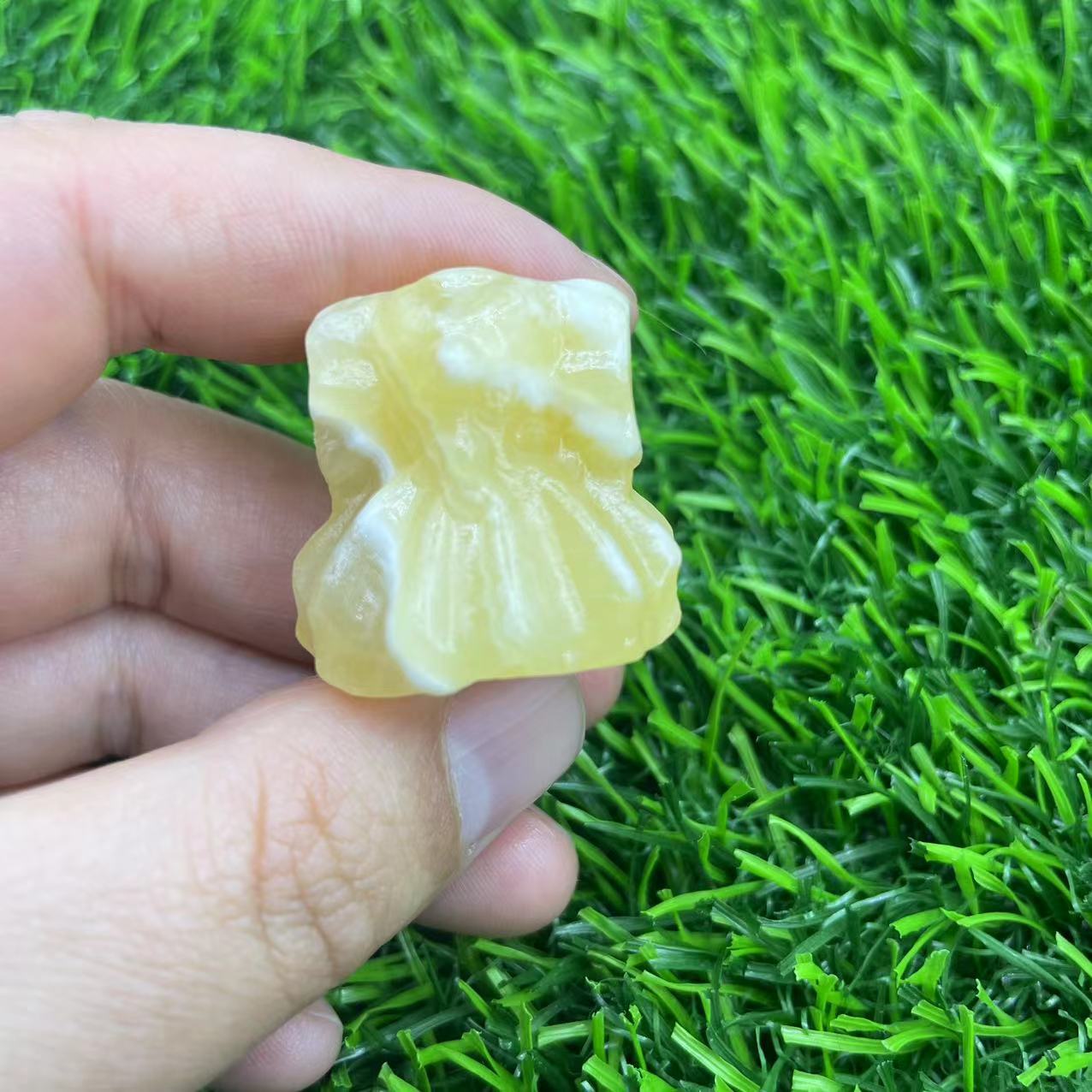 Yellow Calicate