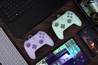 Controlador con cable 8Bitdo Ultimate C para Windows PC, Android, Steam Deck y Raspberry Pi Lilac Purple Field Green