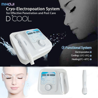 D Cool Piel portátil de alta calidad D Cool Electroporation Skin Cool Máquina facial fresca