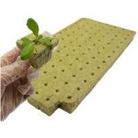 Xiamen – Cubes de culture hydroponique personnalisés en laine de roche de haute qualité, pour plantation