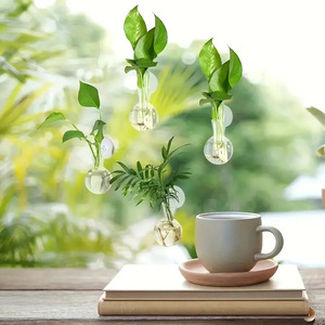Vaso Trasparente <span class=keywords><strong>da</strong></span> Parete per Piante Idroponiche Pothos, Decorazione per Giardinaggio Domestico, Stile Pastorale - Product Image 3