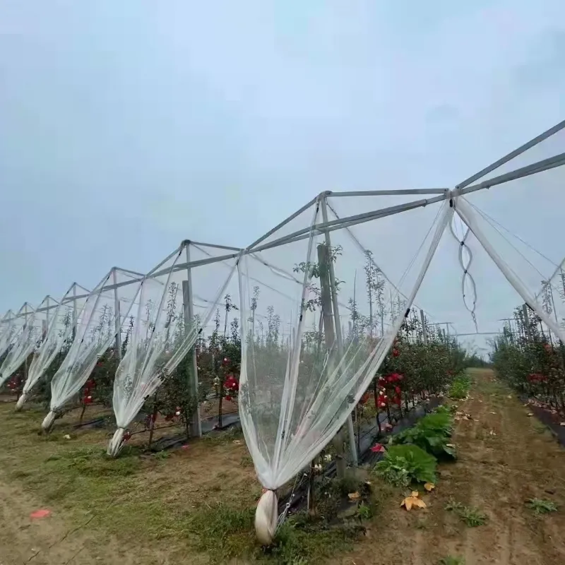 anti hail net Agricultural plastic net mesh net white