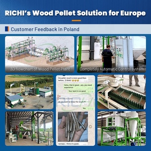Planta de Pellets de Madera RICHI 2-3 T/H - Línea de Producción de Pellets de Madera Húmeda de Biomasa con Secador de Madera, Alemania - Product Image 2