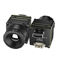 Caméra thermique non refroidie WINBIG 256/384/640, imageur thermique 4/9/13 mm, interface Type-C/CVBS/USB, module thermique infrarouge pour la surveillance