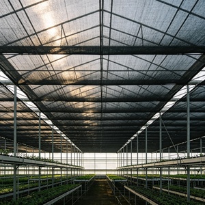 Filet <span class=keywords><strong>d</strong></span>'<span class=keywords><strong>ombrage</strong></span> agricole en HDPE <span class=keywords><strong>anti</strong></span>-<span class=keywords><strong>UV</strong></span>, écologique, robuste, pour la protection des plantes - Product Image 3