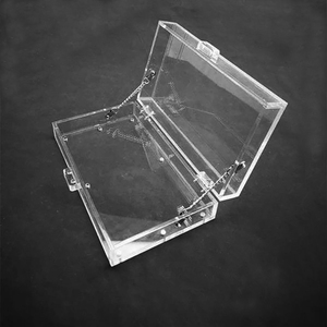 Boîte cadeau en acrylique transparent avec couvercle à charnière, boîte cadeau transparente certifiée SGS, taille personnalisable, marque Ecanlon, OEM/ODM disponible, MOQ <span class=keywords><strong>300</strong></span> - Product Image 4