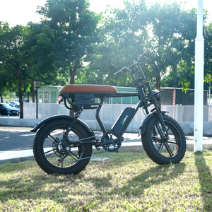 Bicicletta Elettrica Fat Bike V20 a 2 Posti C11 con Pneumatici Larghi 250W 25km/h o 500W 45KM/H per Adulti - Product Image 6