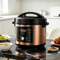 Cuisinière à pression électrique 6L 1000W 220V en acier inoxydable, multicuiseur numérique 10-en-1 avec minuterie 24H CE