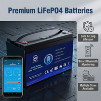 Paket Baterai LFP Lifepo4 12.8v 200Ah untuk Sistem Penerangan Darurat, Penerangan Jalan Tenaga Surya, Penyimpanan Energi Campervan