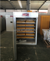 Incubateurs d'Œufs Électriques Solaires Automatiques pour Poussins, Canards, Cailles et Pigeons – Production en Usine