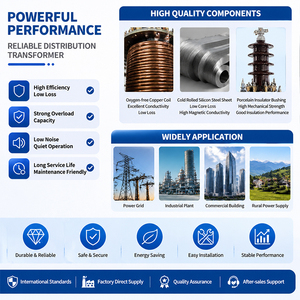 Transformador trifásico de 400 kVA, 10 kV/0,4 kV, sumergido en aceite, para exteriores, compatible con redes eléctricas rurales e industriales - Product Image 4