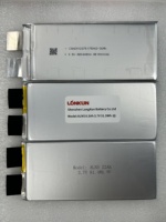 Batterie LiPo polymère au lithium à haute densité énergétique LongKun 3.5V 3.7V 8.5Ah 22Ah 36Ah OEM/ODM