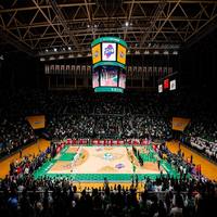Revêtement de sol sportif intérieur approuvé par la FIBA pour les terrains de basketball et de volley-ball, en contreplaqué de bois d'érable ignifuge.