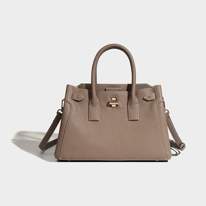 Nouveau Sac Platine Haut de Gamme Printemps-Été Polyvalent avec Fermeture Éclair pour Femme, Sac à Bandoulière et Sac Croisé en PU Tanjing - Product Image 3