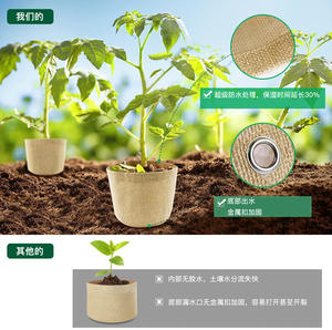 <span class=keywords><strong>Kit</strong></span> de herramientas para bonsái, tijeras de acero al carbono, tijeras perfectas para suculentas y jardinería - Product Image 4