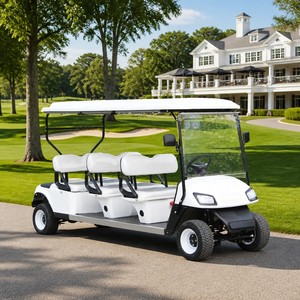 Carrito de Golf de Gasolina para 6 Pasajeros, Motor GY6 de 300 CC, con Asientos de Cuero PU, Colores Personalizados, Fabricación OEM/ODM - Product Image 1