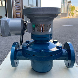 Roestvrijstalen Food Grade Elektrische 24vdc Smeerolie Overdracht Hoge Viscositeit Tandwielstroom <span class=keywords><strong>Meter</strong></span> Oem Ip67 Nauwkeurigheid - Product Image 1