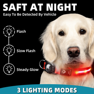 Collar LED para Perro de Nailon Impermeable IPX7 con Diseño Sencillo y <span class=keywords><strong>S</strong></span>ólido Recargable por USB, Función Antipérdida y AirTag - Product Image 4