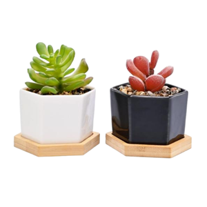 Grand petit hexagone <span class=keywords><strong>blanc</strong></span> couvercle en céramique 10 pièces <span class=keywords><strong>Pot</strong></span> de fleur en <span class=keywords><strong>pot</strong></span> support en bambou doublure jardin décor à la maison Kit Durable moderne - Product Image 1