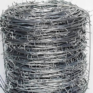 <span class=keywords><strong>Alambre</strong></span> <span class=keywords><strong>de</strong></span> Púas Galvanizado <span class=keywords><strong>de</strong></span> <span class=keywords><strong>Calibre</strong></span> 14 para el Mercado <span class=keywords><strong>de</strong></span> Argelia, Rollo <span class=keywords><strong>de</strong></span> 20 kg y 25 kg <span class=keywords><strong>de</strong></span> <span class=keywords><strong>Alambre</strong></span> GI para Uso Industrial y Agrícola - Product Image 4