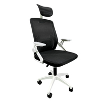 Chaise de Direction Ergonomique Orthopédique à Double Maille Certifiée BIFMA avec Support Lombaire, Service OEM/ODM pour Poste de Travail