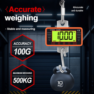 Balance numérique de grue GYS robuste, capacité 500 kg, en acier inoxydable, alimentée par 3 piles AA, plusieurs couleurs, modèle 152E, garantie 1 an, 152E Di - Product Image 5