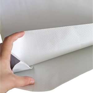 <span class=keywords><strong>25</strong></span> <span class=keywords><strong>KG</strong></span> 50KG plástico laminado PP tejido polipropileno <span class=keywords><strong>cemento</strong></span> bolsas fertilizante químico papel Kraft <span class=keywords><strong>blanco</strong></span> bolsa de polietileno - Product Image 2