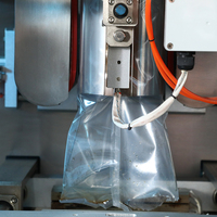 Balance linéaire à double tête, machine automatique pour granulés de bois, farine de noix de coco, haute précision, haute productivité, sacs tactiles, feuille