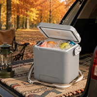 Glacière portable 10L avec poignée pour pique-nique, camping, plage et utilisation en extérieur